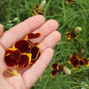 magical natural soap handmade by old factory soap