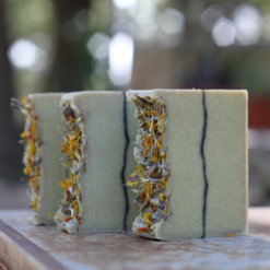 Tea Tree Eucalyptus Limited Edition custom wholesale soap old factory soap